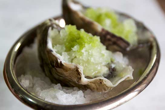 OYSTERS WITH CHAMPAGNE, BASIL & APPLE GRANITA